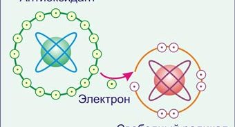 воздействие антиоксидантов