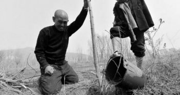 В Китае два друга-инвалида посадили 10 тысяч деревьев