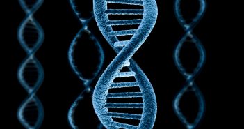 Найти вторую половинку можно по ДНК