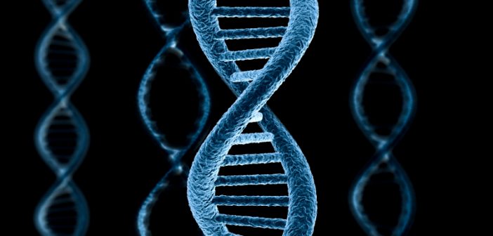 Найти вторую половинку можно по ДНК