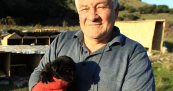 Мусульманин спасает бродячих собак от холода
